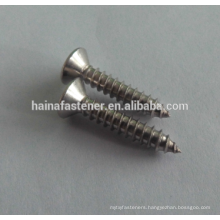 Stainless Steel Self-Tapping Screw With Philips Head